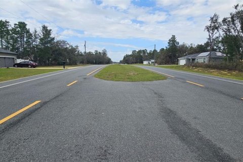 Terreno en venta en Ocala, Florida № 1566954 - foto 3