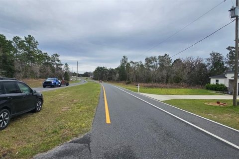 Terreno en venta en Ocala, Florida № 1566954 - foto 4