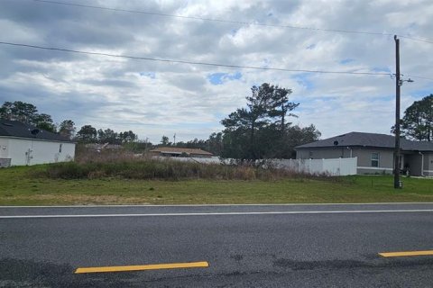 Terreno en venta en Ocala, Florida № 1566954 - foto 2