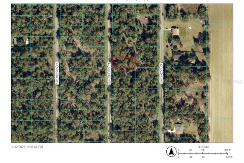 Land in Dunnellon, Florida № 2163727 - photo 2