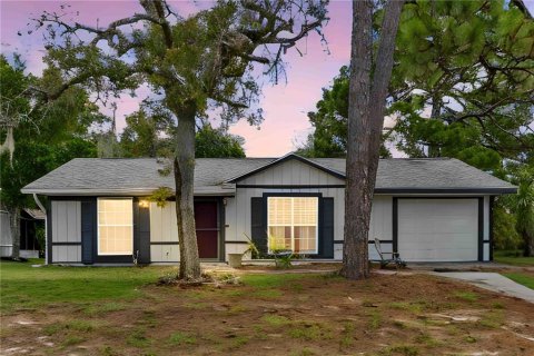 House in Weeki Wachee, Florida 2 bedrooms, 80.27 sq.m. № 2394256