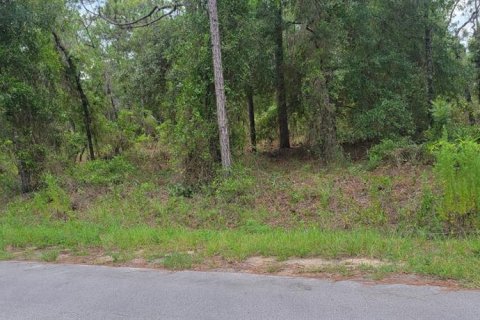 Terrain à vendre à Dunnellon, Floride № 2266746 - photo 2