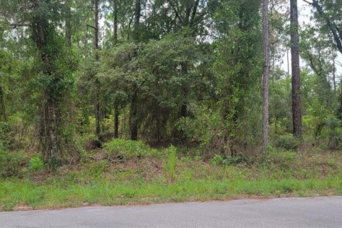 Terrain à Dunnellon, Floride № 2266746