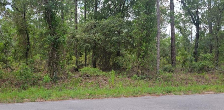 Terrain à Dunnellon, Floride № 2266746