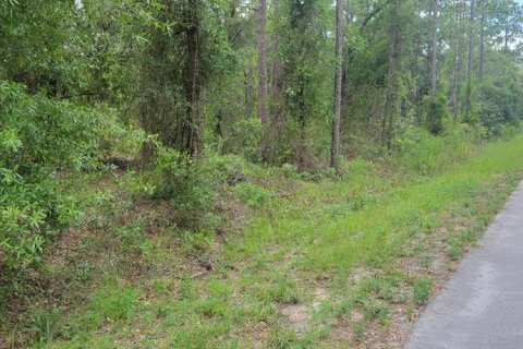 Terrain à vendre à Dunnellon, Floride № 2266746 - photo 4