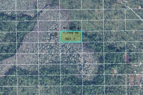 Land in Orlando, Florida № 2219135 - photo 2