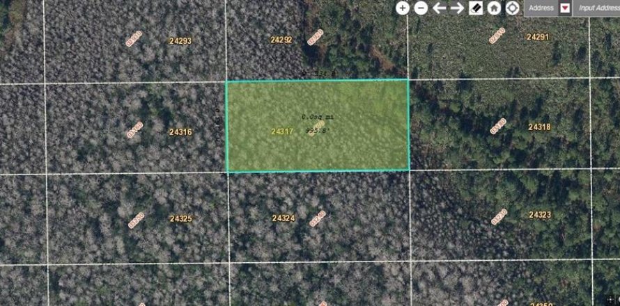 Land in Orlando, Florida № 2219135