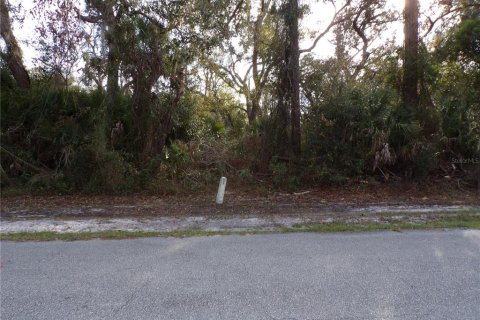 Land in North Port, Florida № 2165362 - photo 5