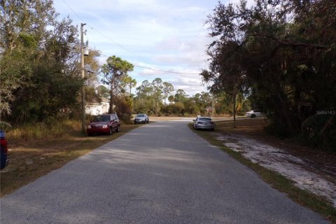Land in North Port, Florida № 2165362 - photo 8