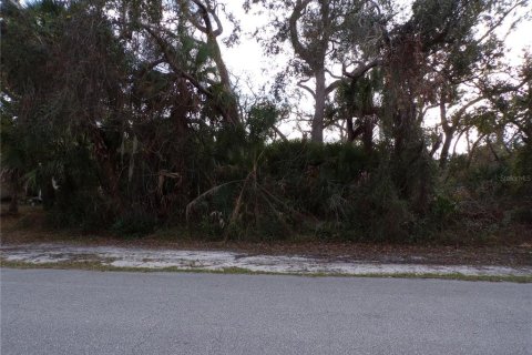 Land in North Port, Florida № 2165362