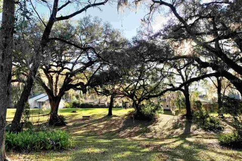 Terreno en venta en Alachua, Florida № 236561 - foto 3