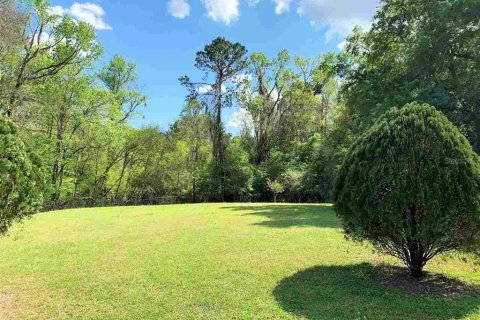 Terreno en venta en Alachua, Florida № 236561 - foto 1