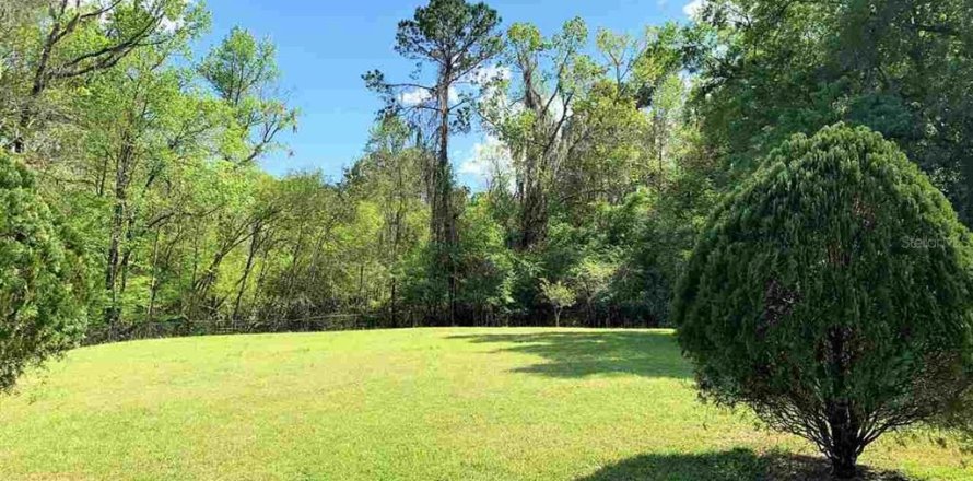 Terreno en Alachua, Florida № 236561