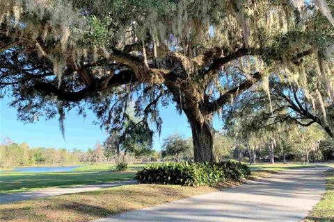 Terreno en venta en Alachua, Florida № 236561 - foto 5