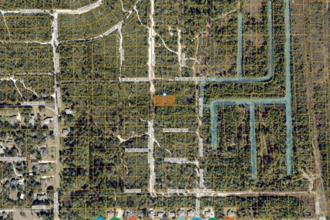 Land in DeLand, Florida № 2163882 - photo 2