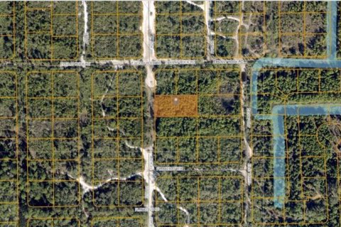 Land in DeLand, Florida № 2163882