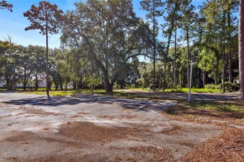 Terreno en venta en Kissimmee, Florida № 2235151 - foto 6