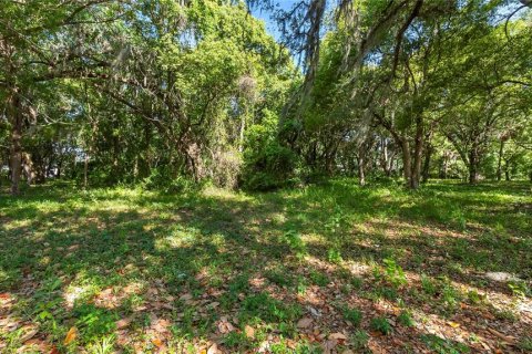 Terreno en venta en Kissimmee, Florida № 2235151 - foto 19