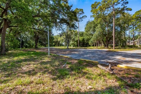 Terreno en venta en Kissimmee, Florida № 2235151 - foto 2