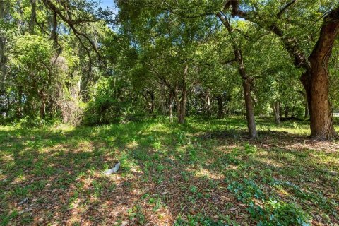 Terreno en venta en Kissimmee, Florida № 2235151 - foto 20
