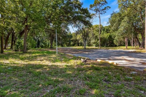Land in Kissimmee, Florida № 2235151