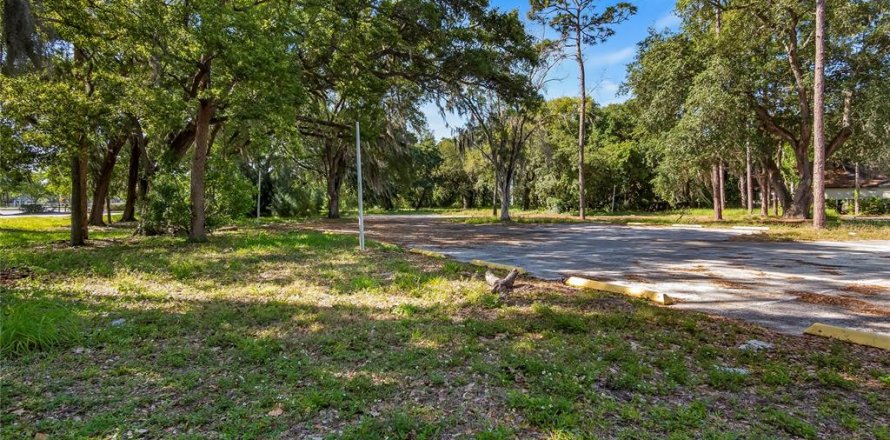 Terreno en Kissimmee, Florida № 2235151