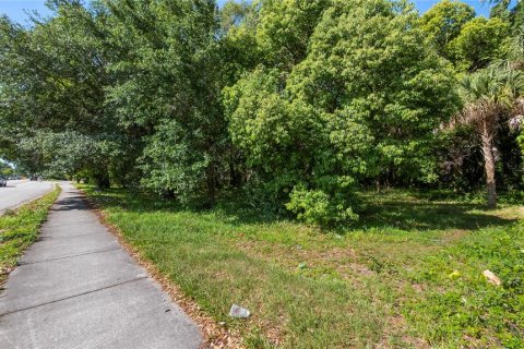 Terreno en venta en Kissimmee, Florida № 2235151 - foto 28