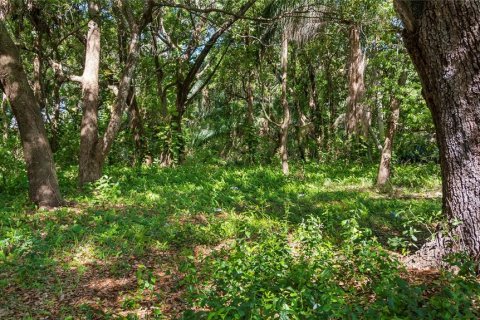 Terreno en venta en Kissimmee, Florida № 2235151 - foto 25