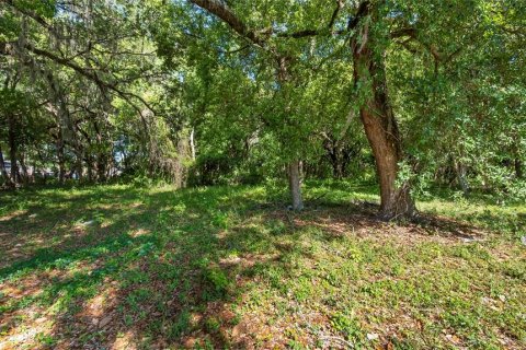 Terreno en venta en Kissimmee, Florida № 2235151 - foto 21