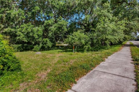 Terreno en venta en Kissimmee, Florida № 2235151 - foto 11