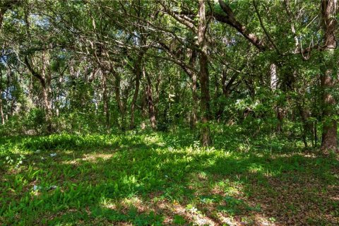 Terreno en venta en Kissimmee, Florida № 2235151 - foto 23