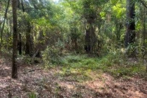 Land in Quincy, Florida № 1803399 - photo 1