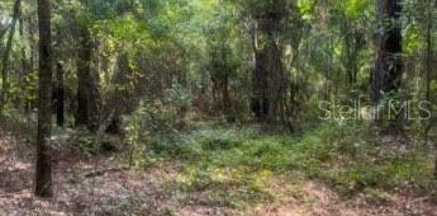 Land in Quincy, Florida № 1803399