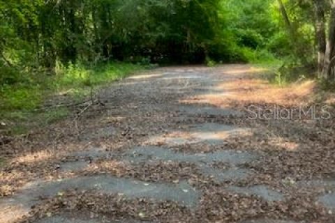 Land in Quincy, Florida № 1803399 - photo 4