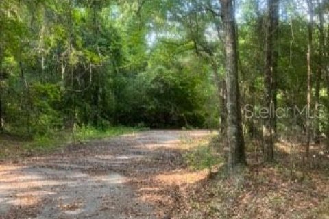 Land in Quincy, Florida № 1803399 - photo 3