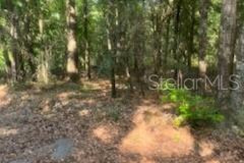 Land in Quincy, Florida № 1803399 - photo 5