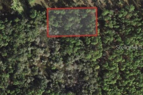 Land in Crystal River, Florida № 2160357