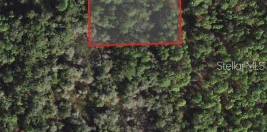 Land in Crystal River, Florida № 2160357