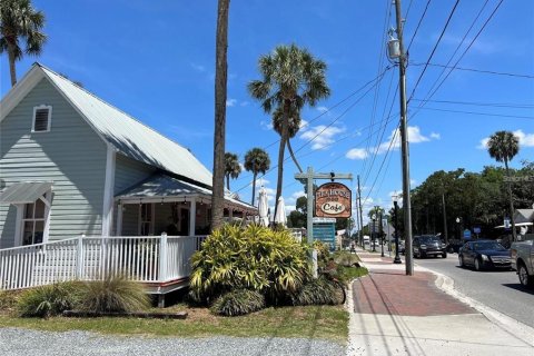 Land in Crystal River, Florida № 2160357 - photo 5