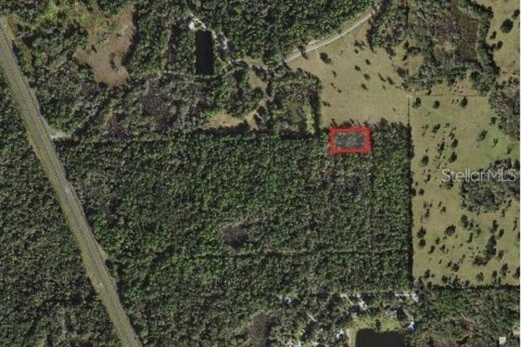 Land in Crystal River, Florida № 2160357 - photo 2