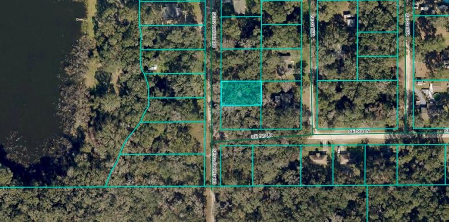 Land in Summerfield, Florida № 2206529
