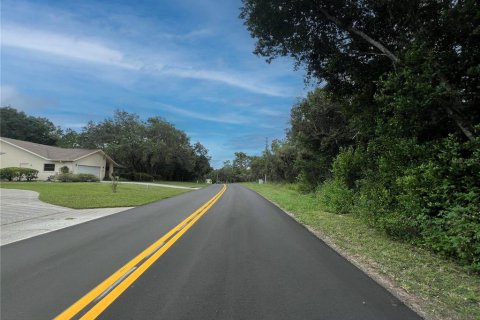 Land in Homosassa, Florida № 2158792 - photo 7