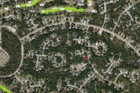 Land in Homosassa, Florida № 2158792 - photo 4