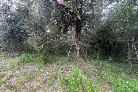 Land in Homosassa, Florida № 2158792 - photo 11