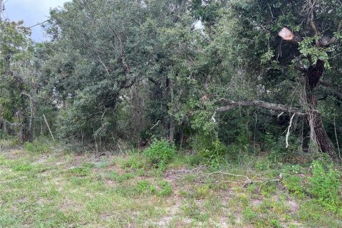 Land in Homosassa, Florida № 2158792 - photo 10