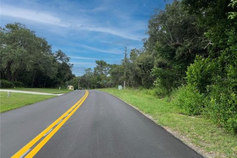 Land in Homosassa, Florida № 2158792 - photo 5