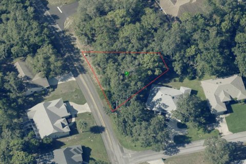 Land in Homosassa, Florida № 2158792 - photo 14
