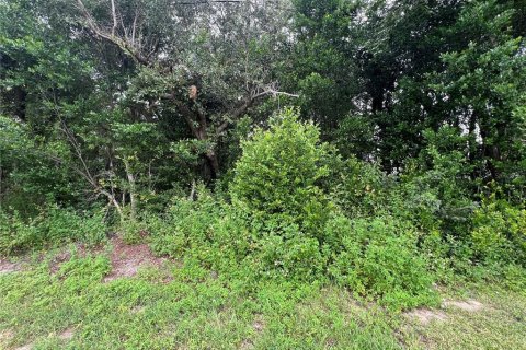 Land in Homosassa, Florida № 2158792 - photo 8