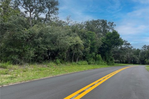 Land in Homosassa, Florida № 2158792 - photo 9
