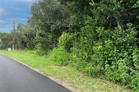 Land in Homosassa, Florida № 2158792 - photo 6